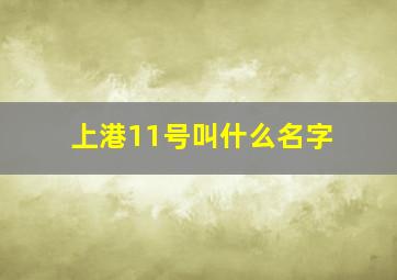 上港11号叫什么名字