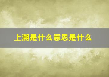 上溯是什么意思是什么