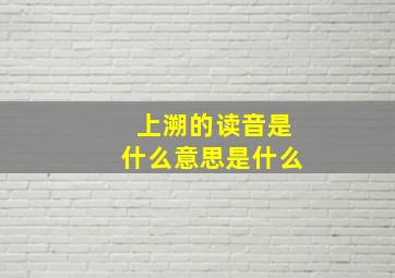 上溯的读音是什么意思是什么