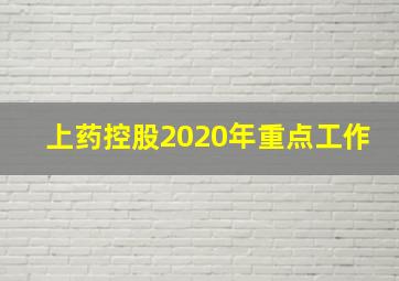 上药控股2020年重点工作