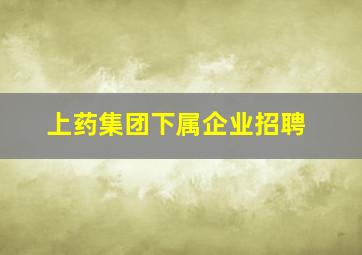 上药集团下属企业招聘