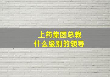 上药集团总裁什么级别的领导