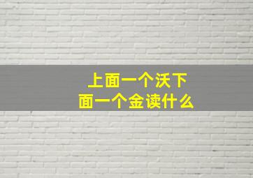 上面一个沃下面一个金读什么