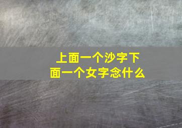 上面一个沙字下面一个女字念什么