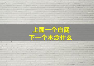 上面一个白底下一个木念什么