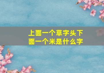 上面一个草字头下面一个米是什么字