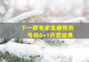 下一期专家准确预测号码6+1开奖结果