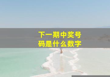 下一期中奖号码是什么数字