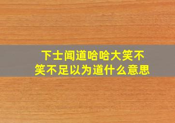 下士闻道哈哈大笑不笑不足以为道什么意思