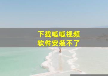 下载呱呱视频软件安装不了