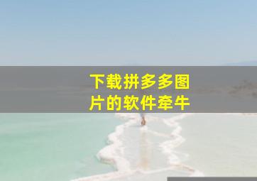 下载拼多多图片的软件牵牛