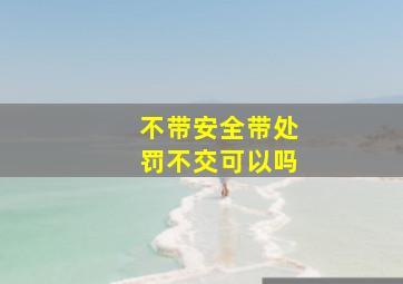 不带安全带处罚不交可以吗