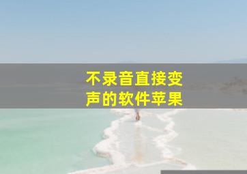 不录音直接变声的软件苹果