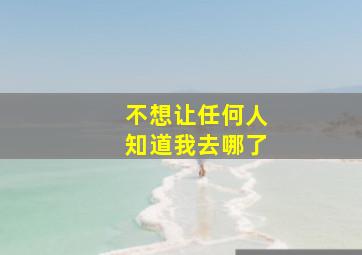 不想让任何人知道我去哪了