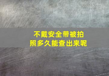 不戴安全带被拍照多久能查出来呢