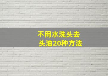 不用水洗头去头油20种方法