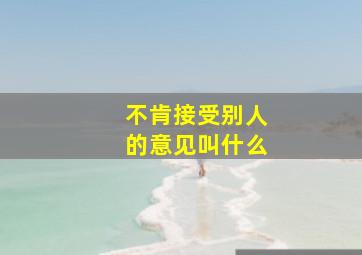 不肯接受别人的意见叫什么