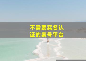 不需要实名认证的卖号平台