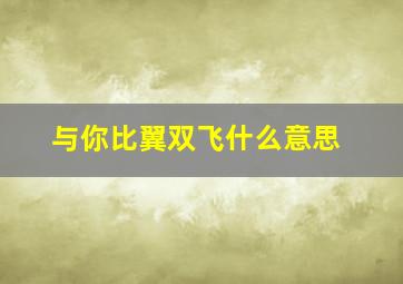 与你比翼双飞什么意思