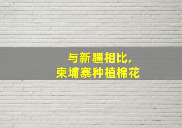 与新疆相比,柬埔寨种植棉花