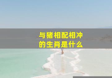 与猪相配相冲的生肖是什么