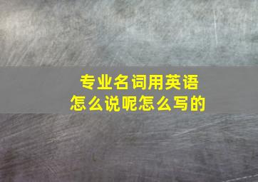 专业名词用英语怎么说呢怎么写的