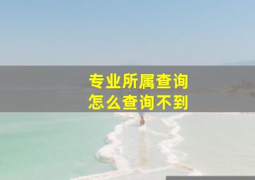 专业所属查询怎么查询不到