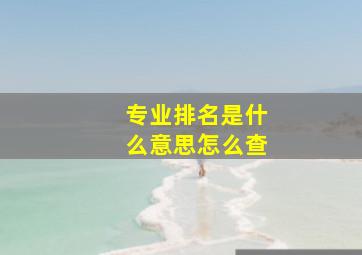 专业排名是什么意思怎么查