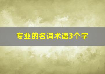 专业的名词术语3个字