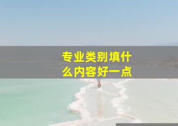 专业类别填什么内容好一点