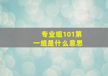 专业组101第一组是什么意思