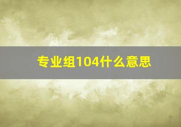 专业组104什么意思