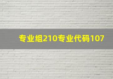 专业组210专业代码107