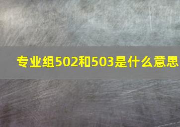 专业组502和503是什么意思