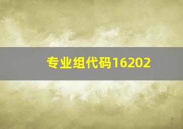 专业组代码16202