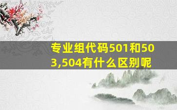 专业组代码501和503,504有什么区别呢