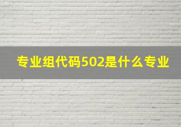 专业组代码502是什么专业