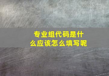 专业组代码是什么应该怎么填写呢