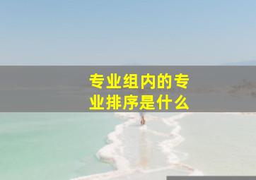 专业组内的专业排序是什么