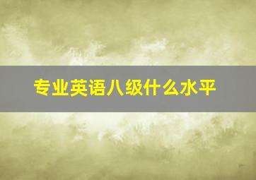 专业英语八级什么水平