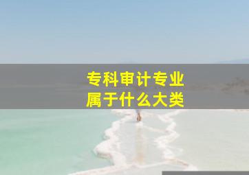 专科审计专业属于什么大类