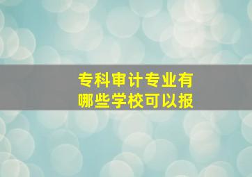 专科审计专业有哪些学校可以报