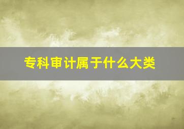 专科审计属于什么大类