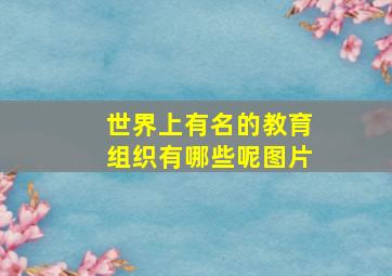 世界上有名的教育组织有哪些呢图片