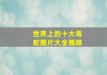 世界上的十大毒蛇图片大全视频