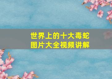 世界上的十大毒蛇图片大全视频讲解