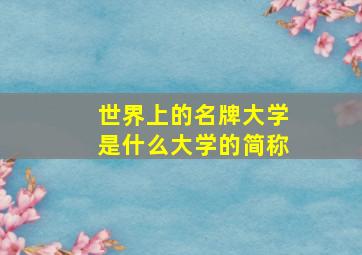 世界上的名牌大学是什么大学的简称