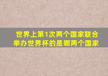 世界上第1次两个国家联合举办世界杯的是哪两个国家