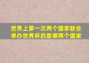 世界上第一次两个国家联合举办世界杯的是哪两个国家