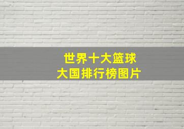 世界十大篮球大国排行榜图片